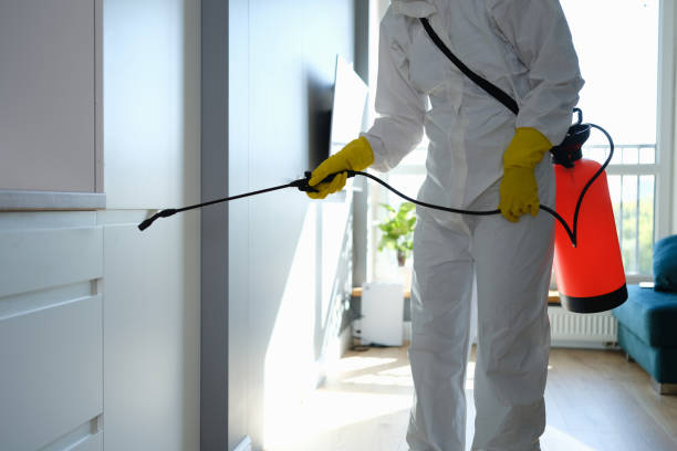 Whitehall, MI Mold Removal Company